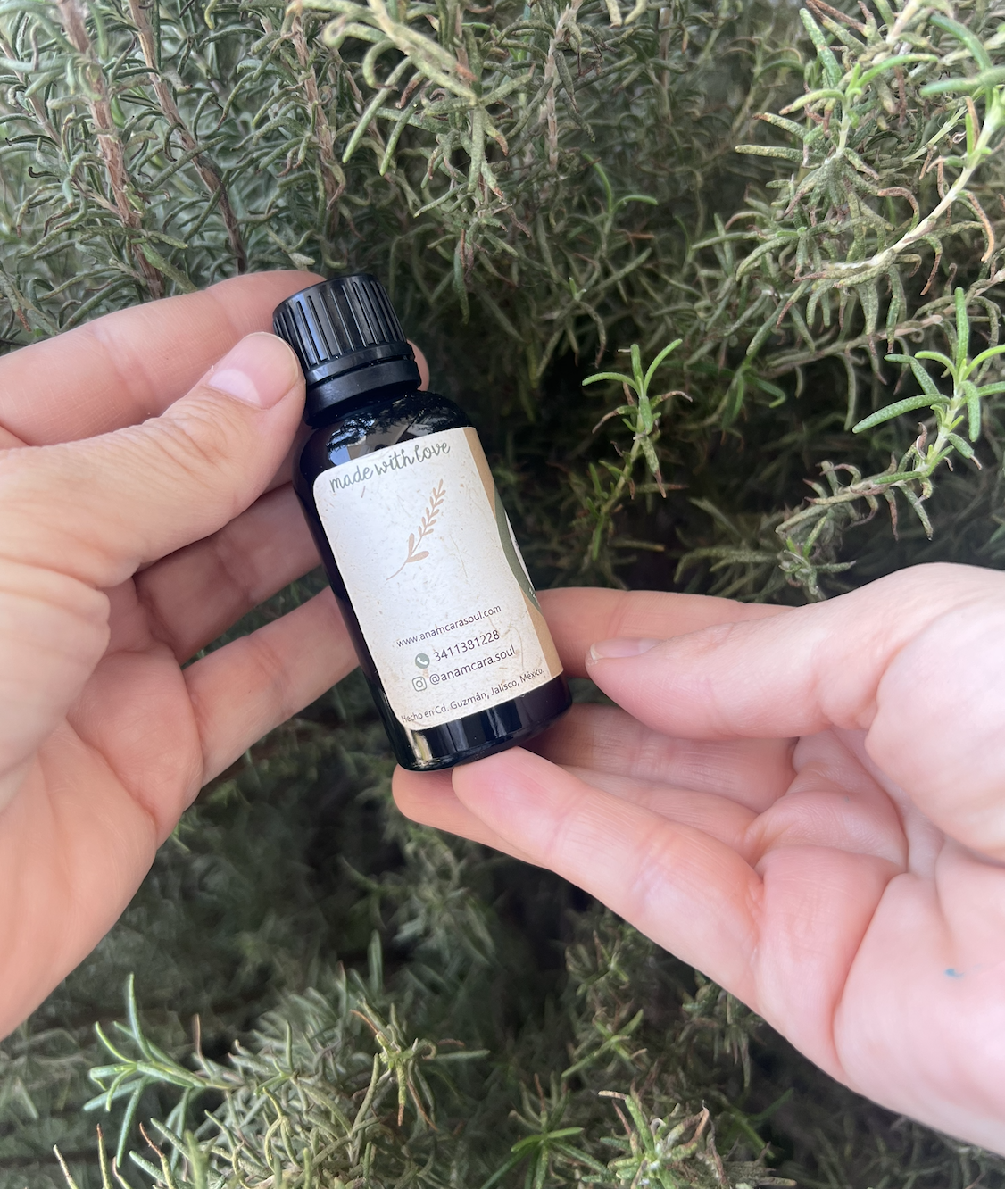 Tintura madre Cuachalalate